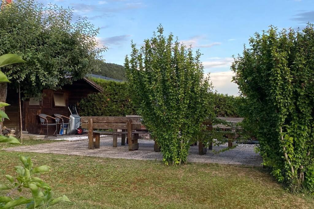 Die Seeblume - Ferienwohnung Mit Pool Und Seeblick Бодман-Людвігсгафен Екстер'єр фото